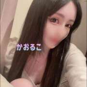 ヒメ日記 2024/12/24 12:06 投稿 かおるこ 横浜ひよこ倶楽部