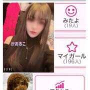 ヒメ日記 2024/12/27 09:36 投稿 かおるこ 横浜ひよこ倶楽部