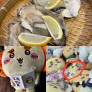 ヒメ日記 2025/01/07 20:35 投稿 かおるこ 横浜ひよこ倶楽部