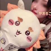 ヒメ日記 2025/01/07 23:06 投稿 かおるこ 横浜ひよこ倶楽部