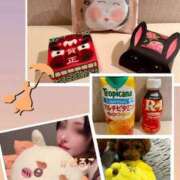 ヒメ日記 2025/01/12 23:16 投稿 かおるこ 横浜ひよこ倶楽部