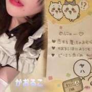 ヒメ日記 2025/02/17 10:36 投稿 かおるこ 横浜ひよこ倶楽部