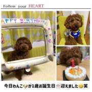 ヒメ日記 2025/02/19 02:06 投稿 かおるこ 横浜ひよこ倶楽部