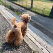 ヒメ日記 2025/03/29 08:26 投稿 かおるこ 横浜ひよこ倶楽部