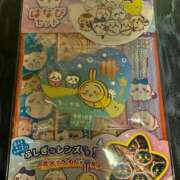 ヒメ日記 2025/07/20 01:06 投稿 かおるこ 横浜ひよこ倶楽部