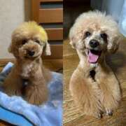 ヒメ日記 2025/08/18 22:59 投稿 かおるこ 横浜ひよこ倶楽部