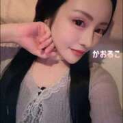 ヒメ日記 2025/08/19 08:16 投稿 かおるこ 横浜ひよこ倶楽部