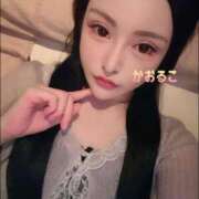 ヒメ日記 2025/08/20 09:26 投稿 かおるこ 横浜ひよこ倶楽部