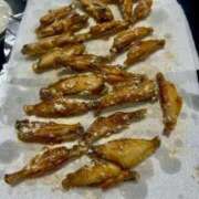 ヒメ日記 2025/09/19 15:26 投稿 かおるこ 横浜ひよこ倶楽部