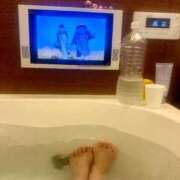 ヒメ日記 2025/09/22 15:56 投稿 かおるこ 横浜ひよこ倶楽部