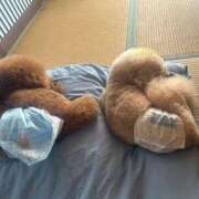 ヒメ日記 2025/10/01 10:24 投稿 かおるこ 横浜ひよこ倶楽部