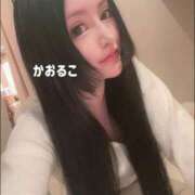 ヒメ日記 2025/11/16 09:46 投稿 かおるこ 横浜ひよこ倶楽部