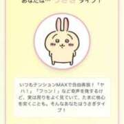 ヒメ日記 2025/12/30 11:56 投稿 かおるこ 横浜ひよこ倶楽部