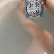 ヒメ日記 2026/01/16 07:16 投稿 かおるこ 横浜ひよこ倶楽部