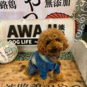 ヒメ日記 2026/02/19 07:06 投稿 かおるこ 横浜ひよこ倶楽部