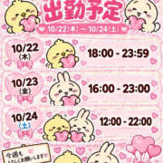 ヒメ日記 2026/10/22 02:56 投稿 かおるこ 横浜ひよこ倶楽部