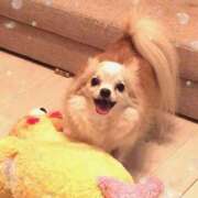 ヒメ日記 2025/04/08 08:35 投稿 一条光 オペラ(吉原)