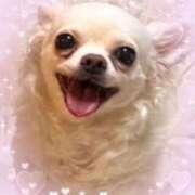 一条光 風邪ひいてしまいました😷 オペラ(吉原)