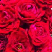 ヒメ日記 2025/03/08 18:21 投稿 つばき 吉野ケ里人妻デリヘル 「デリ夫人」