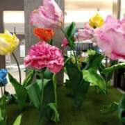 ヒメ日記 2025/06/07 12:31 投稿 つばき 吉野ケ里人妻デリヘル 「デリ夫人」