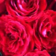 つばき お礼 吉野ケ里人妻デリヘル 「デリ夫人」