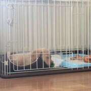 ヒメ日記 2025/05/13 17:08 投稿 羽田のぞみ お姉さんLABO -艶-