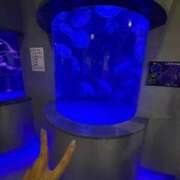 ヒメ日記 2025/05/20 18:08 投稿 羽田のぞみ お姉さんLABO -艶-