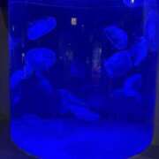 ヒメ日記 2025/05/22 18:38 投稿 羽田のぞみ お姉さんLABO -艶-