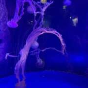 ヒメ日記 2025/05/28 14:58 投稿 羽田のぞみ お姉さんLABO -艶-