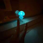 ヒメ日記 2025/06/02 22:39 投稿 羽田のぞみ お姉さんLABO -艶-