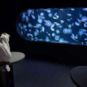 ヒメ日記 2025/06/20 12:43 投稿 羽田のぞみ お姉さんLABO -艶-