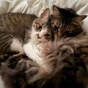 ヒメ日記 2026/03/04 14:01 投稿 羽田のぞみ お姉さんLABO -艶-