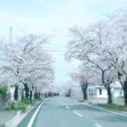 ヒメ日記 2025/04/04 12:05 投稿 まり モアグループ宇都宮人妻花壇