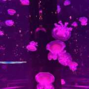 ヒメ日記 2025/04/09 13:47 投稿 まり モアグループ宇都宮人妻花壇