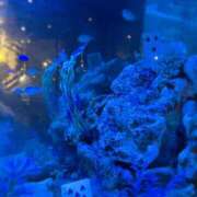 ヒメ日記 2025/05/09 13:46 投稿 まり モアグループ宇都宮人妻花壇