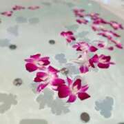 ヒメ日記 2025/06/22 11:48 投稿 まり モアグループ宇都宮人妻花壇