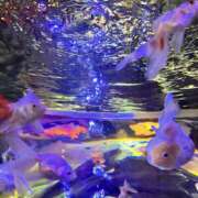 ヒメ日記 2025/07/07 13:45 投稿 まり モアグループ宇都宮人妻花壇