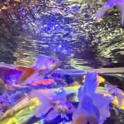 ヒメ日記 2025/08/09 13:51 投稿 まり モアグループ宇都宮人妻花壇