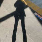 ヒメ日記 2025/11/15 10:45 投稿 まり モアグループ宇都宮人妻花壇