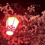 ヒメ日記 2026/04/18 22:50 投稿 まり モアグループ宇都宮人妻花壇