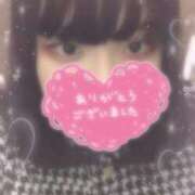 ヒメ日記 2025/02/02 16:33 投稿 きり 新横浜ちゃんこ