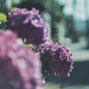 ヒメ日記 2025/06/22 23:56 投稿 神崎 熟女の風俗最終章 新横浜店