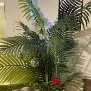 神崎 🎄本日事前ご予約さま御礼🎄 熟女の風俗最終章 新横浜店