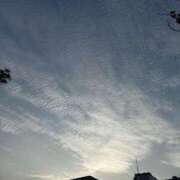 ヒメ日記 2025/06/16 16:39 投稿 桃　子 [モモコ] ゆるふわ彼女