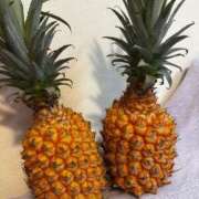 ヒメ日記 2025/07/04 11:09 投稿 桃　子 [モモコ] ゆるふわ彼女