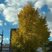 ヒメ日記 2025/10/16 10:23 投稿 桃　子 [モモコ] ゆるふわ彼女