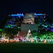 ヒメ日記 2025/11/27 20:33 投稿 桃　子 [モモコ] ゆるふわ彼女