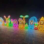 ヒメ日記 2025/11/27 20:36 投稿 桃　子 [モモコ] ゆるふわ彼女