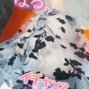 ヒメ日記 2024/12/22 16:34 投稿 はる 甘熟クラブ