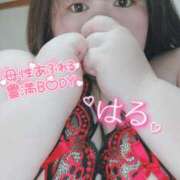 ヒメ日記 2024/12/23 13:38 投稿 はる 甘熟クラブ